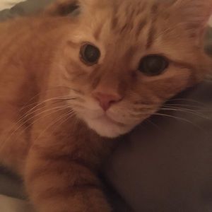 Meet your Posher, Patricia